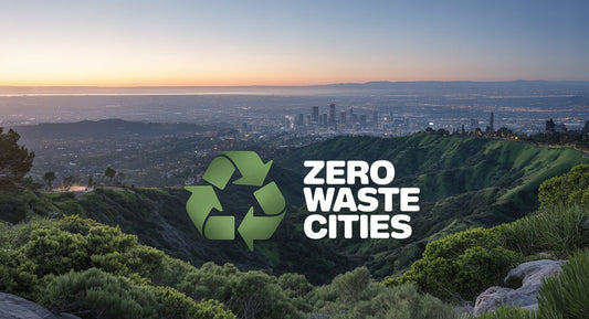 Zero Waste Cities: Aspirations, Reality, and Economic Opportunities