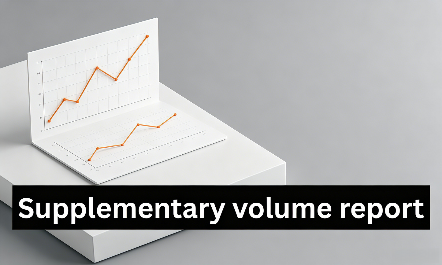 EASyShop Supplementary volume report